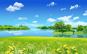 Vibrant Summer Meadow with Wildflowers and Calm Lake Under Blue Sky HD wallpaper