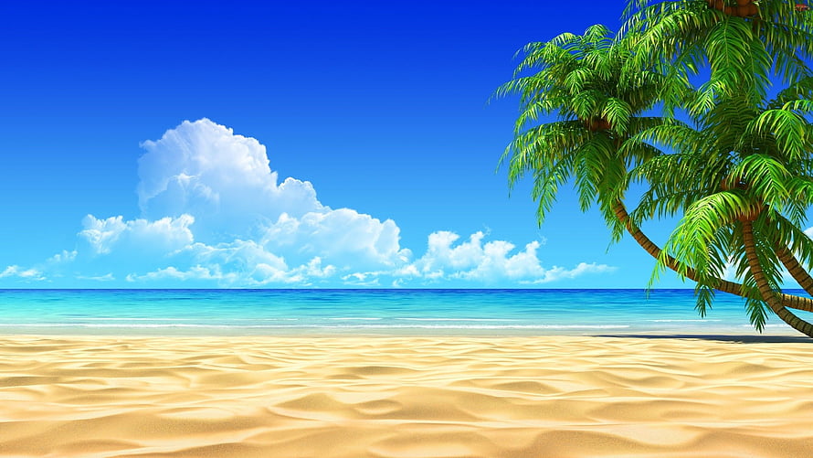 Tropical Beach Scene With Leaning Palm Tree And Turquoise Ocean Under Blue Sky HD wallpaper