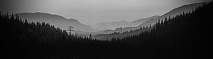 Monochrome Misty Mountain Valley With Dense Coniferous Forest And Power Lines HD wallpaper