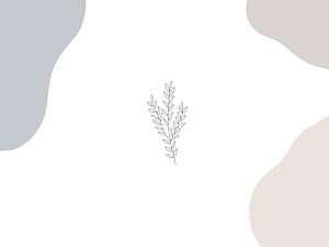 Minimalist Botanical Line Art with Soft Abstract Shapes on White Background HD wallpaper