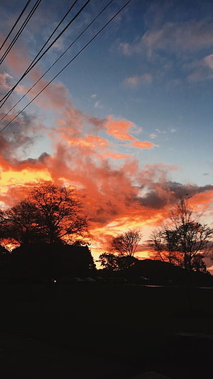 Vibrant orange sunset sky with dramatic clouds and silhouetted trees HD phone wallpaper