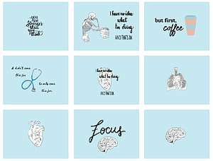 Medical Aesthetic Wall Art Set with Anatomical Illustrations and Motivational Quotes HD wallpaper