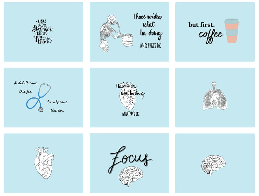 Medical Aesthetic Wall Art Set with Anatomical Illustrations and Motivational Quotes HD wallpaper