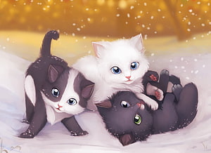 Three Adorable Kittens Playing in Snow with Warm Golden Bokeh Background HD wallpaper