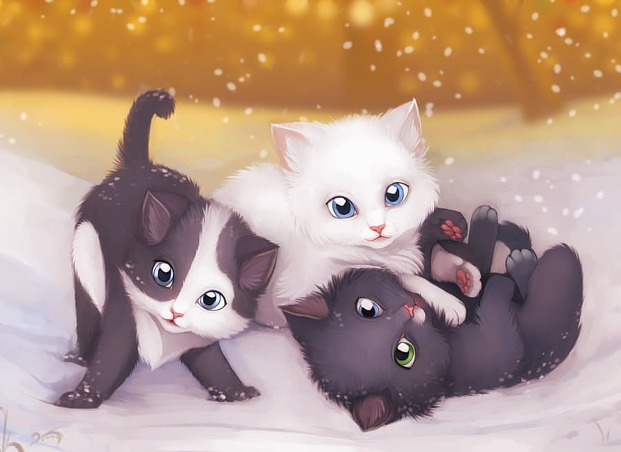 Three Adorable Kittens Playing in Snow with Warm Golden Bokeh Background HD wallpaper