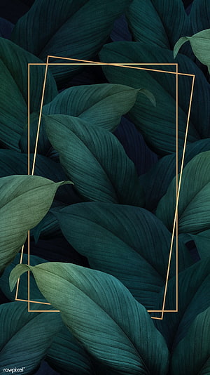 Dark Green Tropical Leaves with Gold Geometric Frame Aesthetic Design HD phone wallpaper