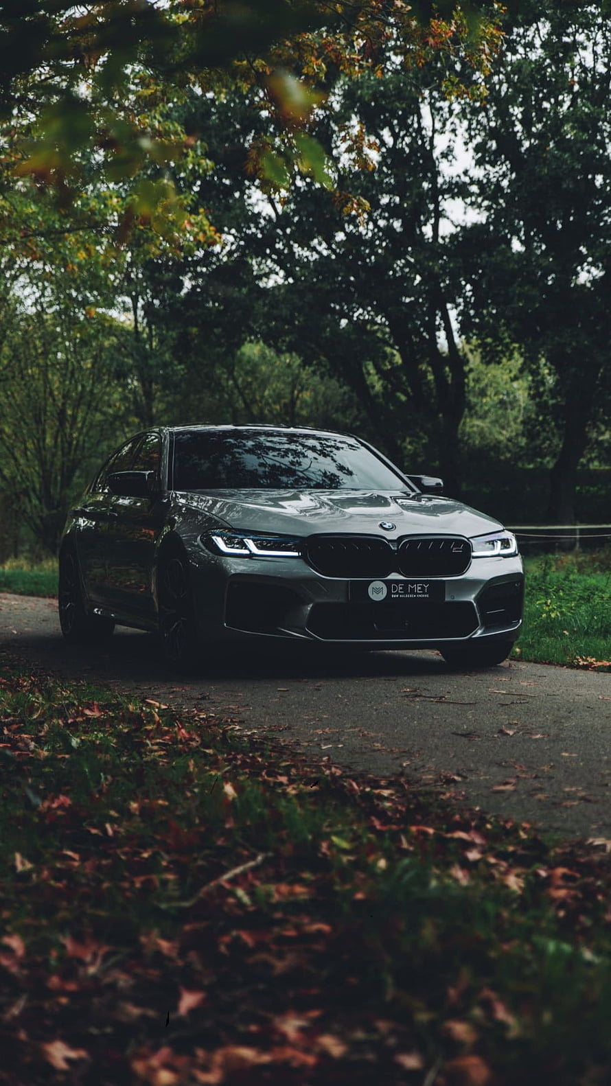 BMW M5 F90 Sedan Parked on a Forest Road with Autumn Foliage HD phone wallpaper