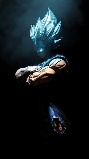 Vegeta Super Saiyan Blue Figure with Glowing Eyes and Crossed Arms in Dark Atmosphere HD phone wallpaper