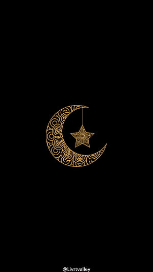 Intricate Gold Crescent Moon and Star Islamic Art on Black Background HD phone wallpaper