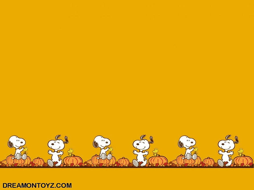 Snoopy and Woodstock Halloween Pumpkin Border on Golden Background HD wallpaper