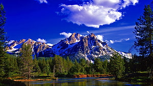 Snow-Capped Mountain Peaks Rising Above a Forested Valley and Calm River Under a Blue Sky HD wallpaper