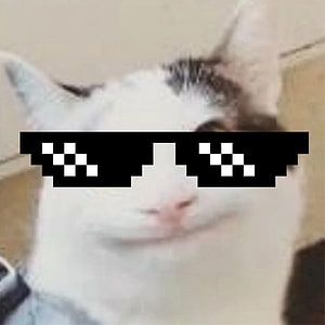 Funny Cat Wearing Pixelated Sunglasses Meme HD phone wallpaper