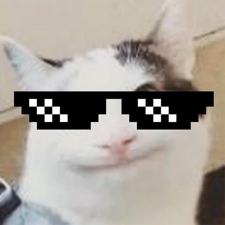 Funny Cat Wearing Pixelated Sunglasses Meme HD phone wallpaper