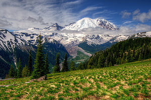 Mount Rainier Snow-Capped Peak Rising Above Lush Green Alpine Meadows and Evergreen Forests in Washington HD wallpaper
