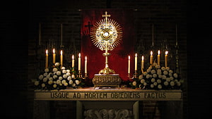 Catholic Eucharistic Adoration Altar with Monstrance and Candles HD wallpaper