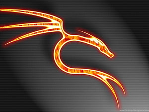 Glowing Fire Dragon Silhouette Abstract Digital Art Wallpaper HD wallpaper