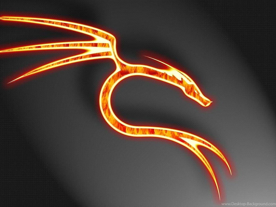 Glowing Fire Dragon Silhouette Abstract Digital Art Wallpaper HD wallpaper