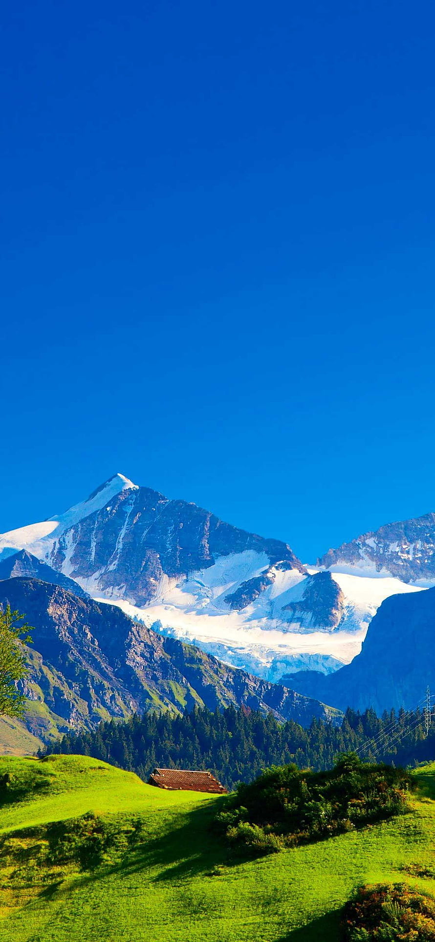 Swiss Alps Mountain Landscape with Snow-Capped Peaks and Green Pastures HD phone wallpaper