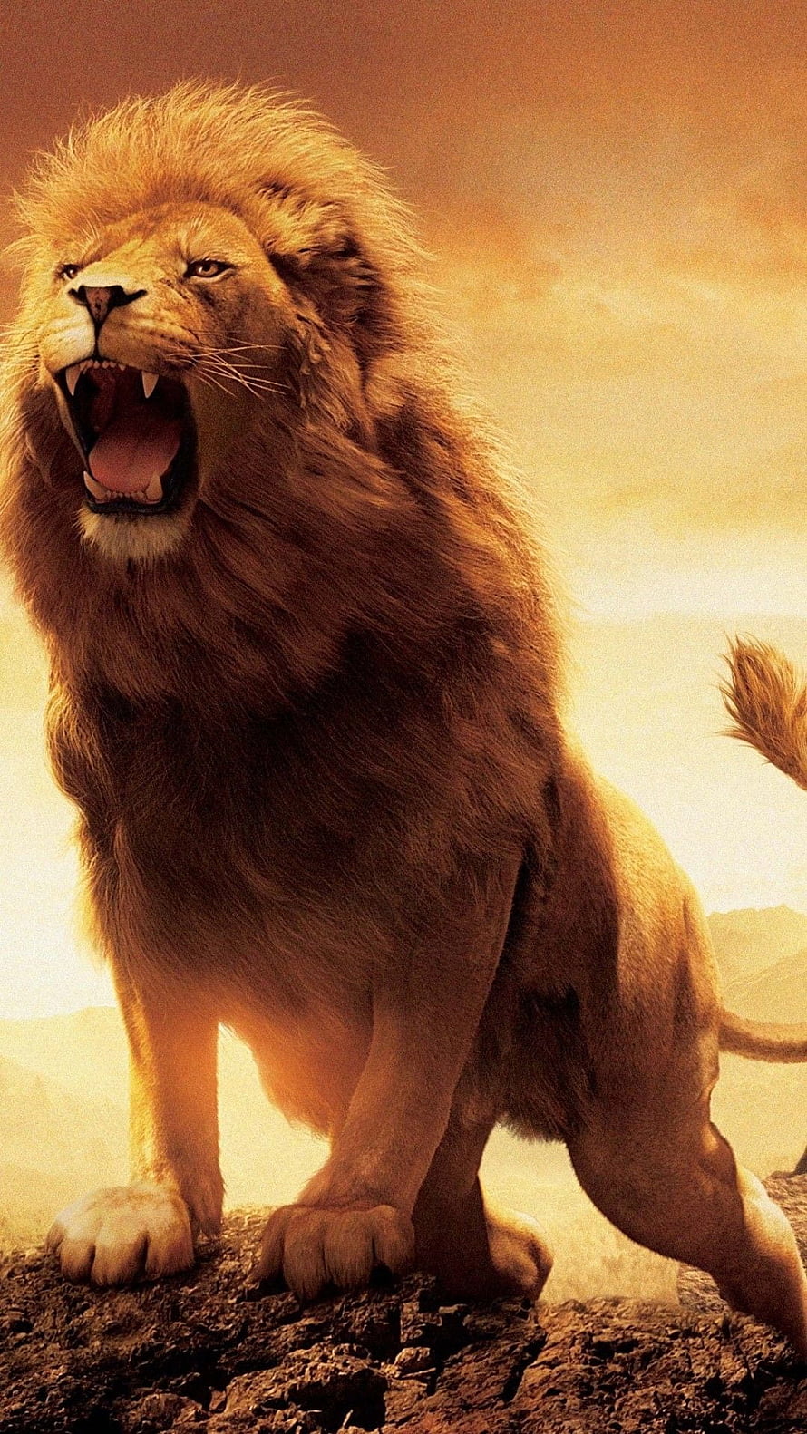 Majestic Male Lion Roaring on Rocky Outcrop in Golden Savanna Light HD phone wallpaper