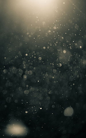 Ethereal Bokeh Dust Particles Floating in Warm Golden Light Against Dark Background HD phone wallpaper