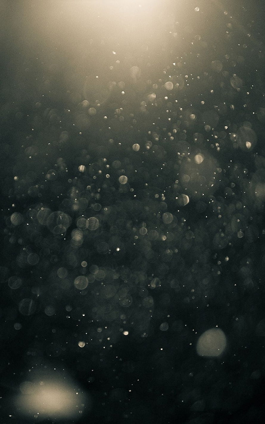 Ethereal Bokeh Dust Particles Floating in Warm Golden Light Against Dark Background HD phone wallpaper