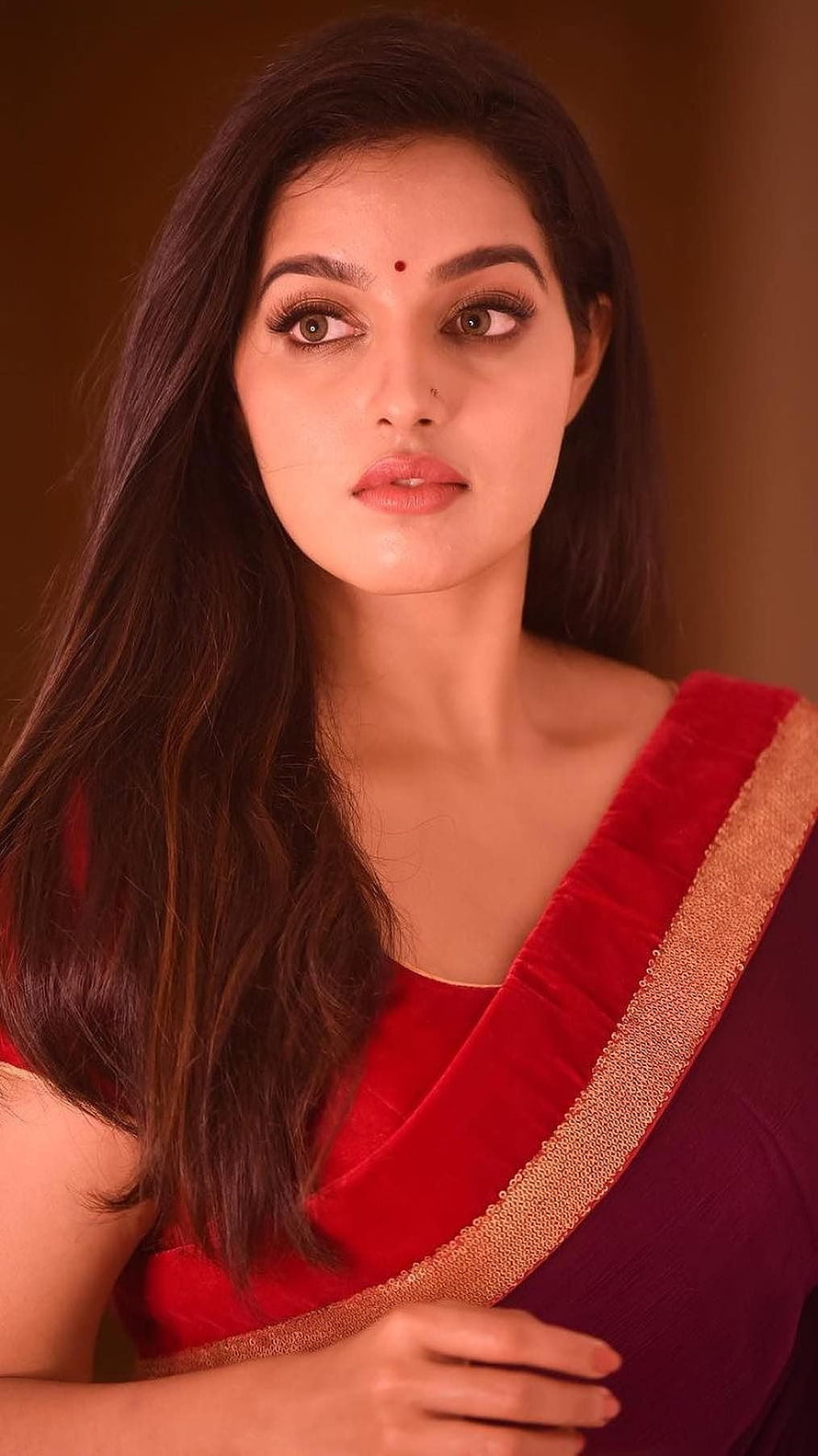 Malavika Menon Portrait in Traditional Red Saree with Gold Border HD phone wallpaper