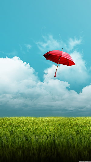 Red Umbrella Floating Over Green Wheat Field Under Blue Sky HD phone wallpaper