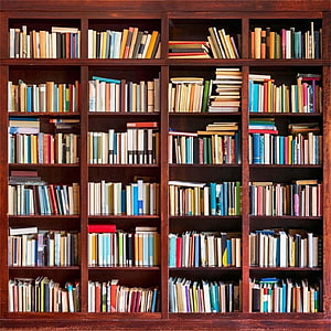 Vintage Wooden Bookshelf Filled With Colorful Books Library Interior HD phone wallpaper