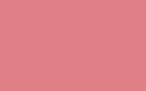 Solid Pastel Pink Minimalist Background with Soft Muted Tone HD wallpaper