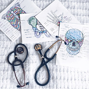 Hand-drawn anatomical illustrations of skull, pelvis, and ribcage with stethoscope on white fabric HD phone wallpaper