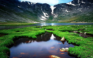 Alpine Tarn and Mossy Wetland in a Snow-Capped Mountain Valley HD wallpaper