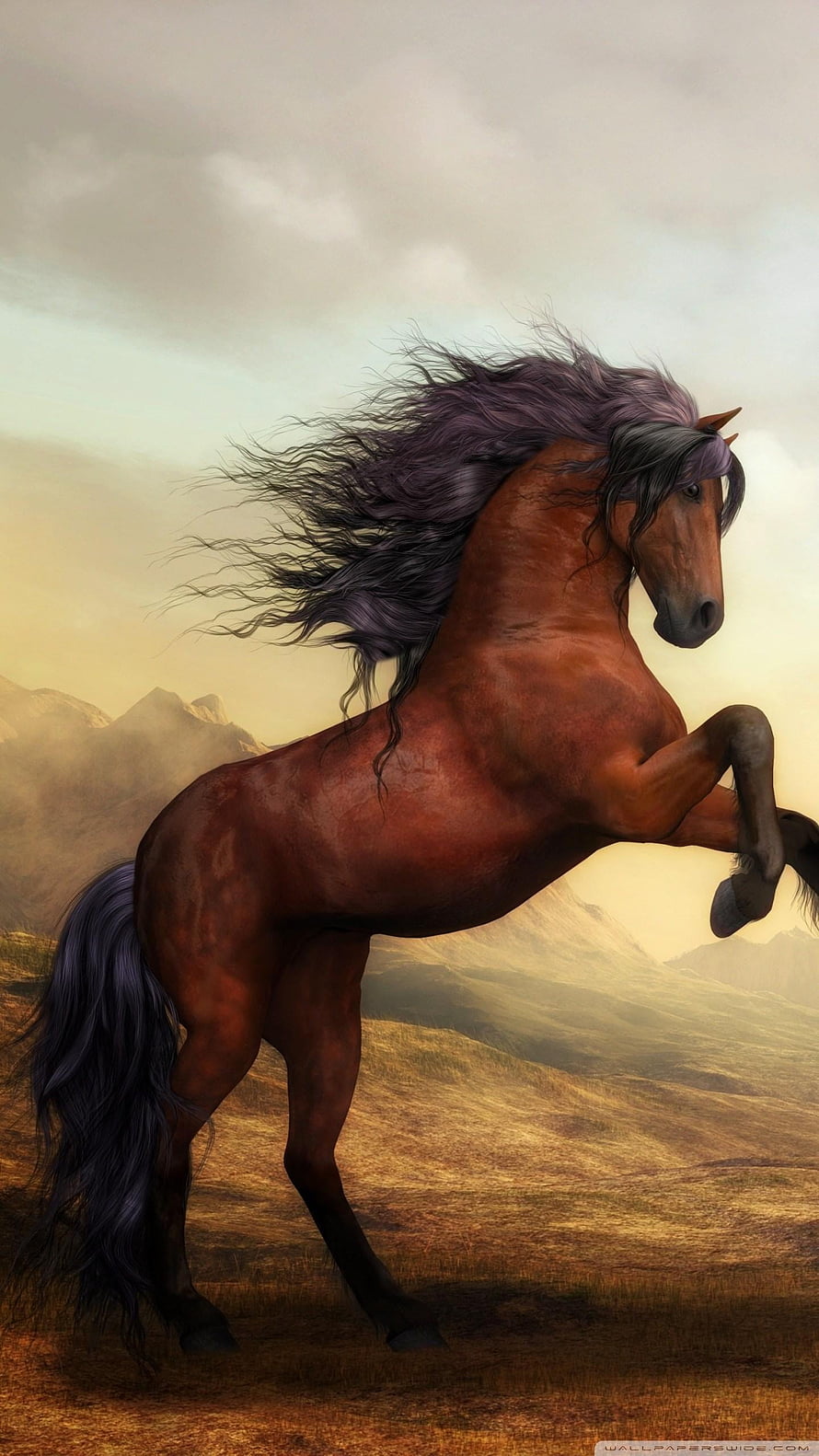 Majestic Chestnut Horse Rearing on a Misty Mountain Ridge at Golden Hour HD phone wallpaper