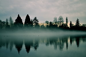 Misty Lake at Dawn with Silhouetted Evergreens and Calm Water Reflections HD wallpaper