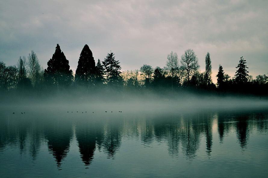 Misty Lake at Dawn with Silhouetted Evergreens and Calm Water Reflections HD wallpaper