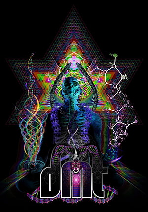 Psychedelic DMT Artwork Featuring Meditating Skeleton, DNA Helix, and Sacred Geometry HD phone wallpaper