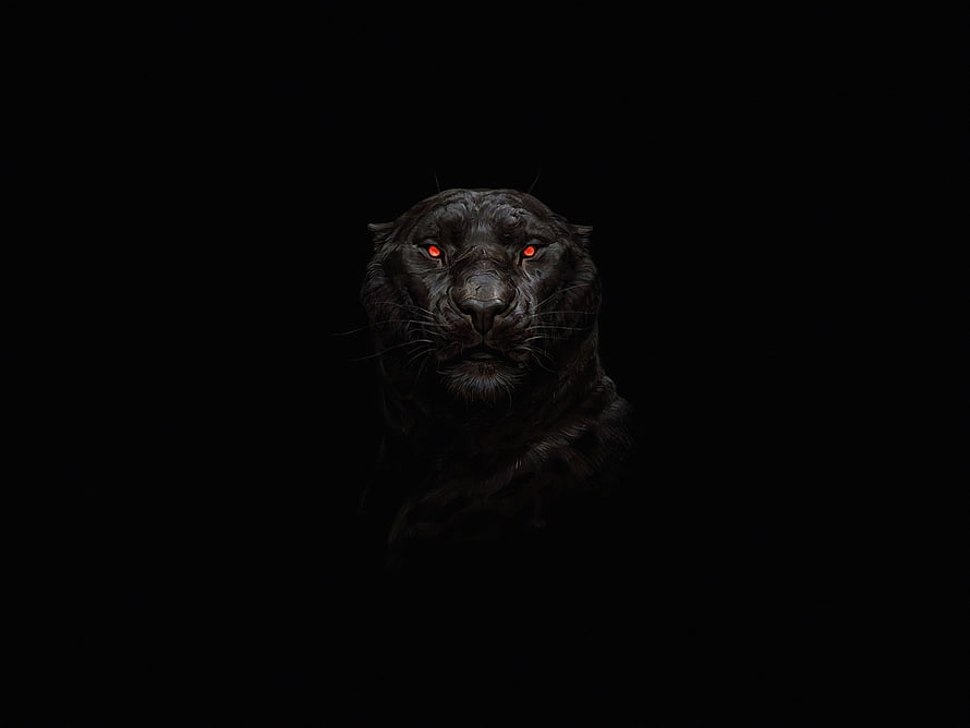 Black Panther Portrait with Glowing Red Eyes on Dark Background HD wallpaper