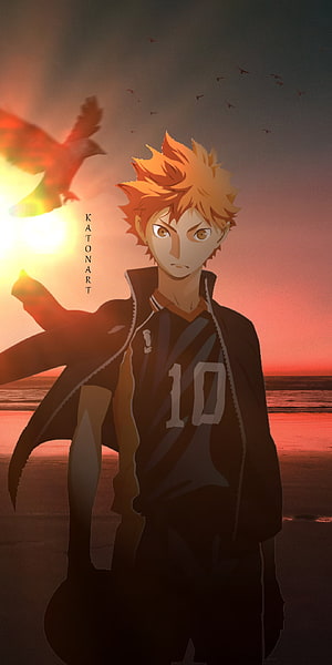 Hinata Shoyo from Haikyuu anime standing on a beach at sunset with a hawk silhouette HD phone wallpaper