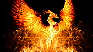 Majestic Phoenix Rising From Blazing Flames With Fiery Wings Spread Wide HD wallpaper