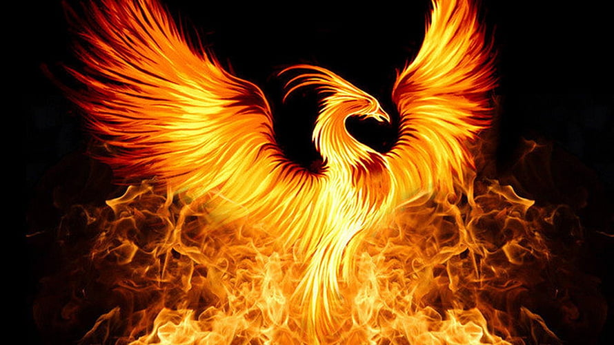 Majestic Phoenix Rising From Blazing Flames With Fiery Wings Spread Wide HD wallpaper