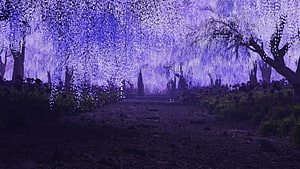 Demon Slayer Wisteria Forest Scene with Purple Blooms and Dark Path HD wallpaper