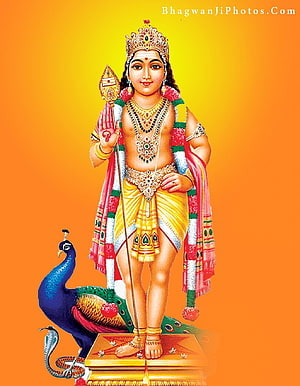 Lord Murugan Standing with Vel and Peacock on Golden Pedestal HD phone wallpaper