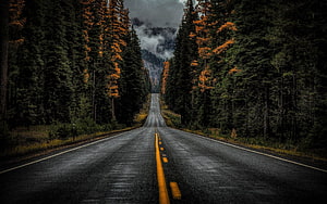 Moody Forest Highway Stretching Toward Misty Mountain Peaks HD wallpaper