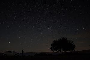 Starry Night Sky Over Silhouetted Tree, Car, and Person in Dark Rural Landscape HD wallpaper