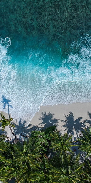 Aerial drone view of tropical beach with turquoise ocean waves and palm tree shadows on white sand HD phone wallpaper