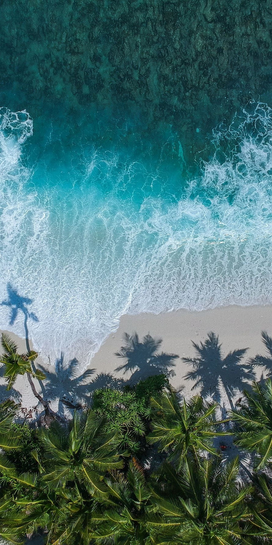 Aerial drone view of tropical beach with turquoise ocean waves and palm tree shadows on white sand HD phone wallpaper