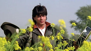 Shah Rukh Khan in a leather jacket standing in a field of yellow flowers from Dilwale Dulhania Le Jayenge HD wallpaper