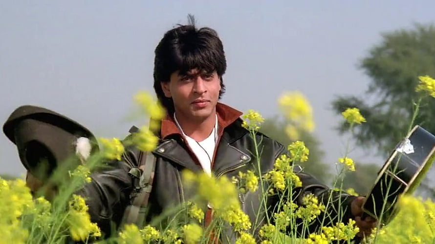 Shah Rukh Khan in a leather jacket standing in a field of yellow flowers from Dilwale Dulhania Le Jayenge HD wallpaper