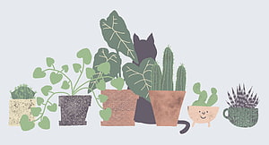 Cute Cat Silhouette Hiding Among Potted Houseplants and Succulents Illustration HD wallpaper