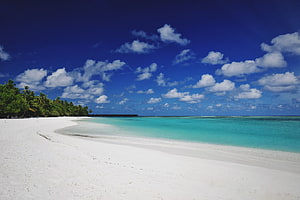 Pristine Maldives Beach with Turquoise Waters and Lush Palm Trees Under a Bright Blue Sky HD wallpaper