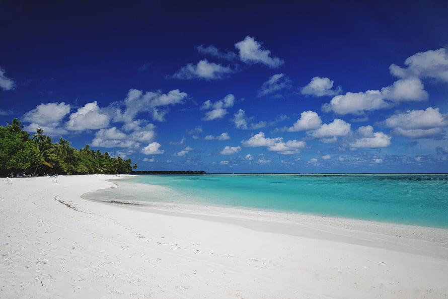 Pristine Maldives Beach with Turquoise Waters and Lush Palm Trees Under a Bright Blue Sky HD wallpaper